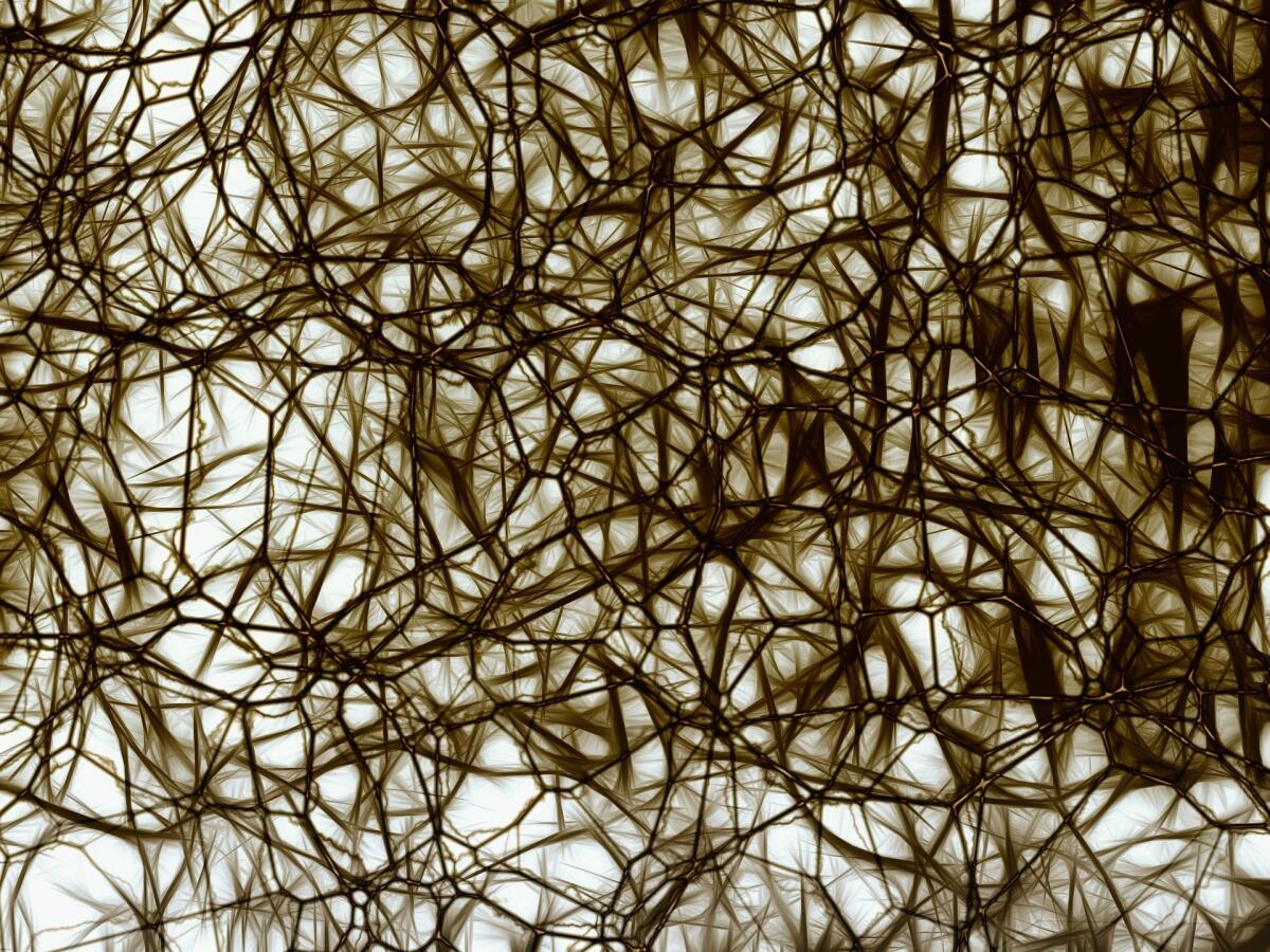 Metodo di Golgi: com'è stata scoperta la vera forma dei neuroni - 