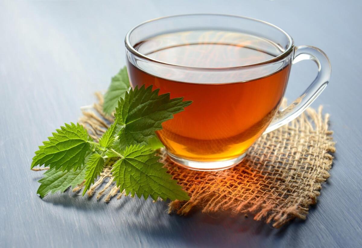 Tisane a freddo: dalla tradizione alla rivoluzione - 
