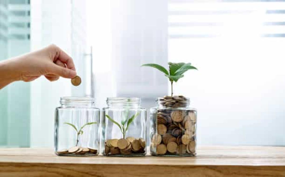 Equity crowdfunding, investimento utile alla crescita - Woman putting coin in the jar with plant.