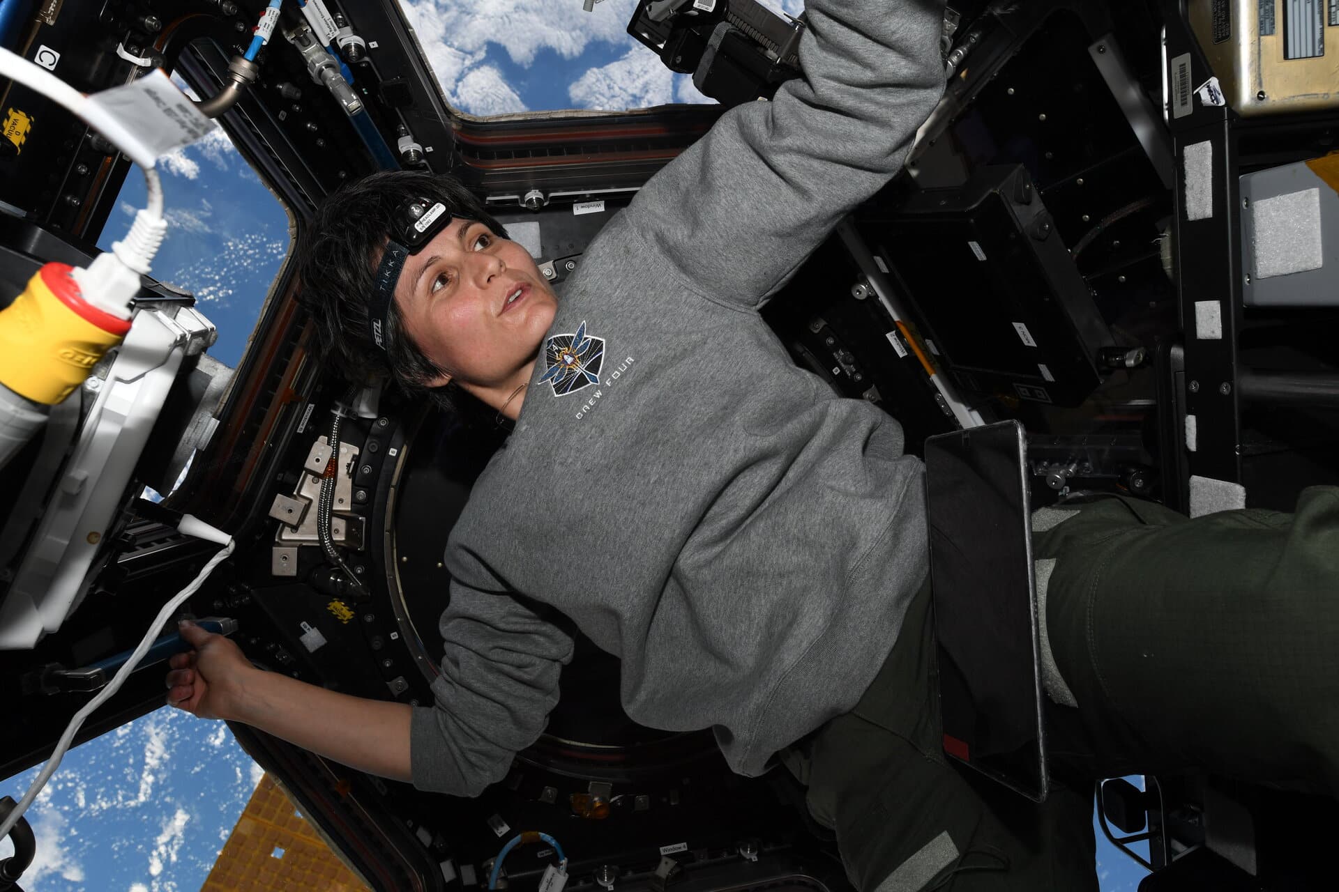 Credit: ESA
