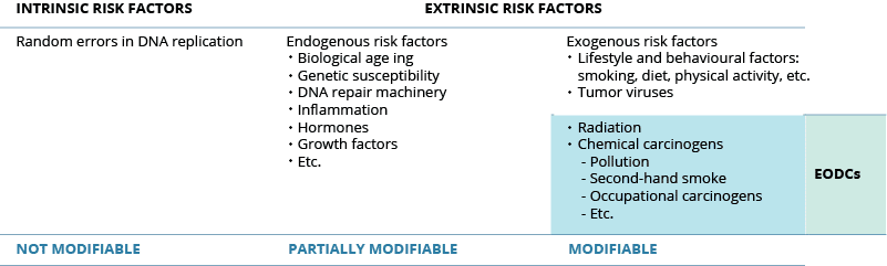 Categorie di fattori di rischio di cancro in base alla modificabilità del problema - Credits: European Environment Agency