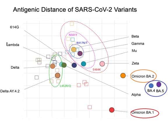 Distanza antigenica delle varianti SARS-CoV-2 - Credits: Science/Topol