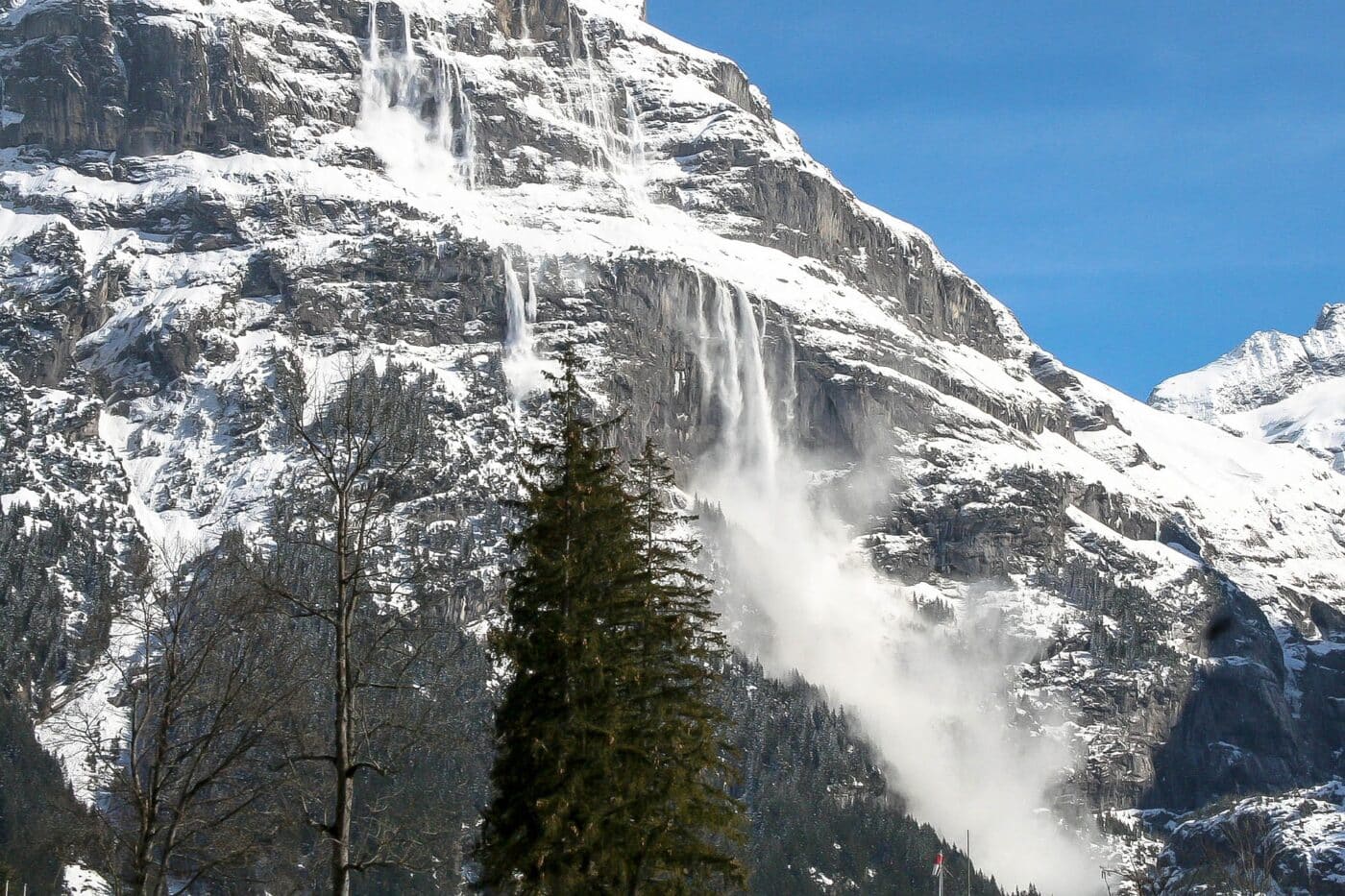 neve