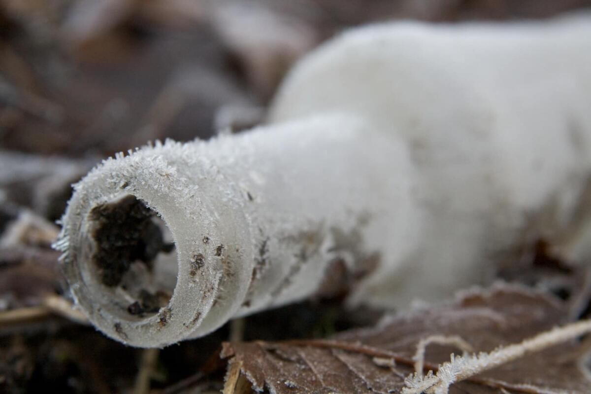 Acqua liquida sotto 0 °C? Sì, grazie al fenomeno del sottoraffreddamento - 