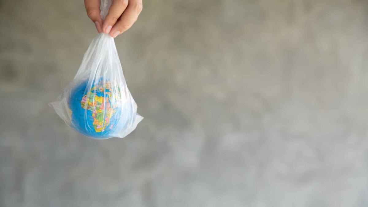 Microplastiche in relazione con la salute umana, cosa ne sappiamo? - 