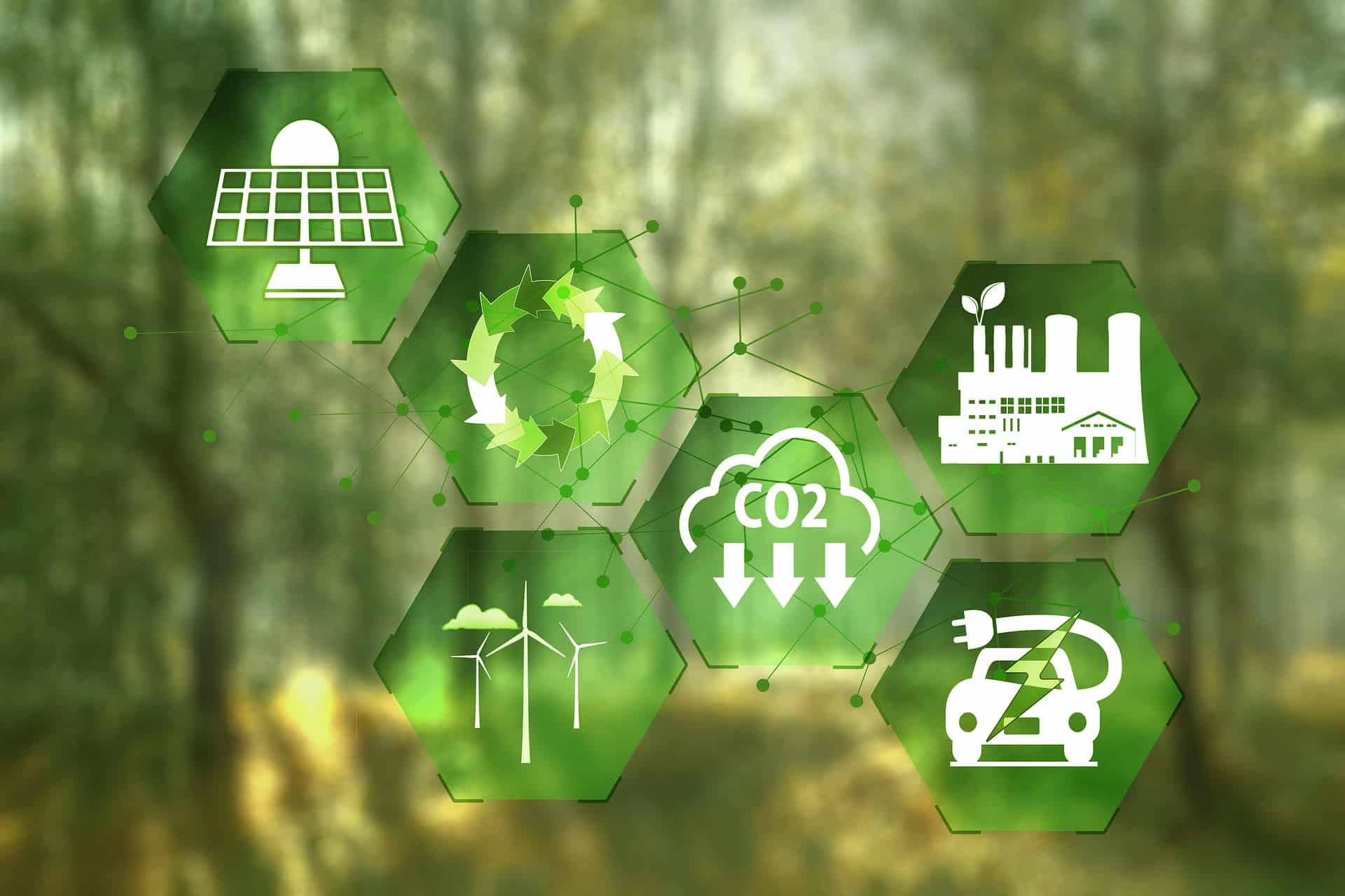 L’abbattimento dei livelli di CO2 nell’atmosfera è uno dei primi passi da compiere per la sostenibilità ambientale