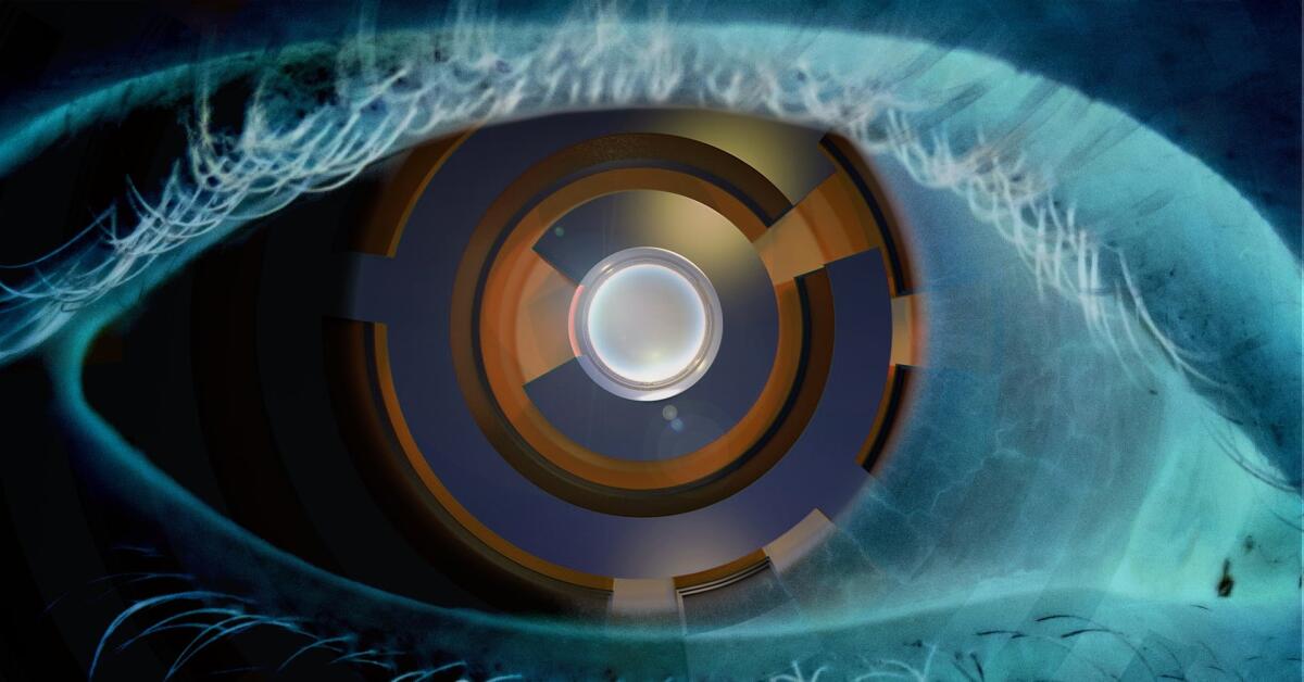 I primi Cyborg legalmente riconosciuti: una breve storia - 