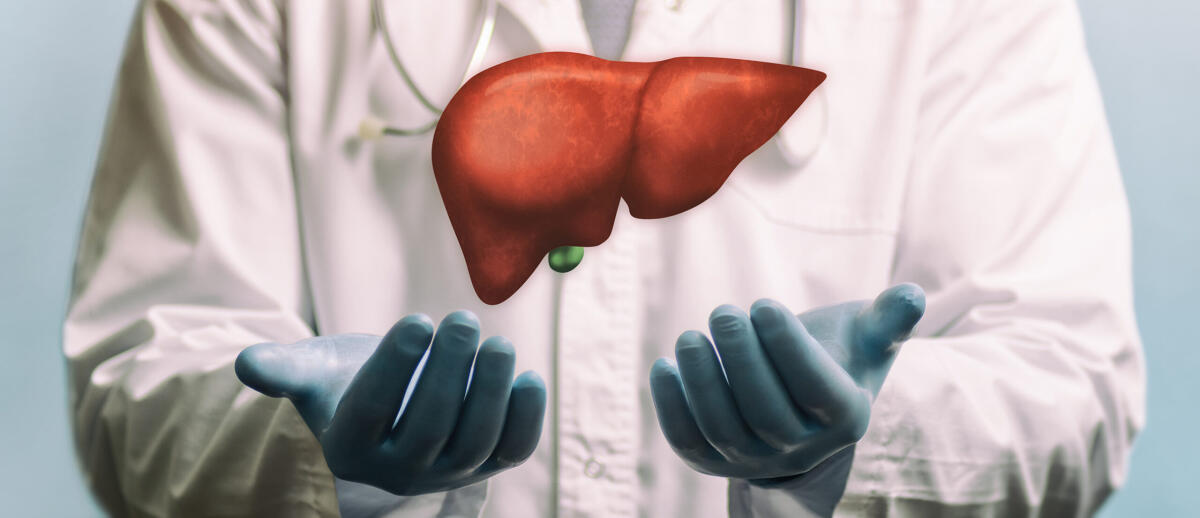 Tumore al fegato: situazione delle immunoterapie attuali - trapianto eterotopico fegato milza primo al mondo bologna