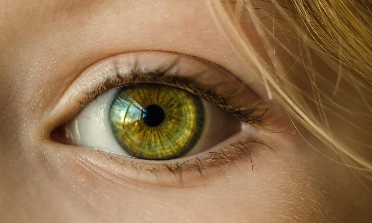 Maculopatia: una retina artificiale per combatterla - 