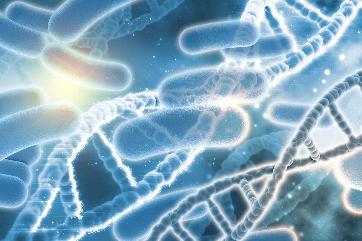 Microbioma umano: costruito sintetico per la prima volta - 