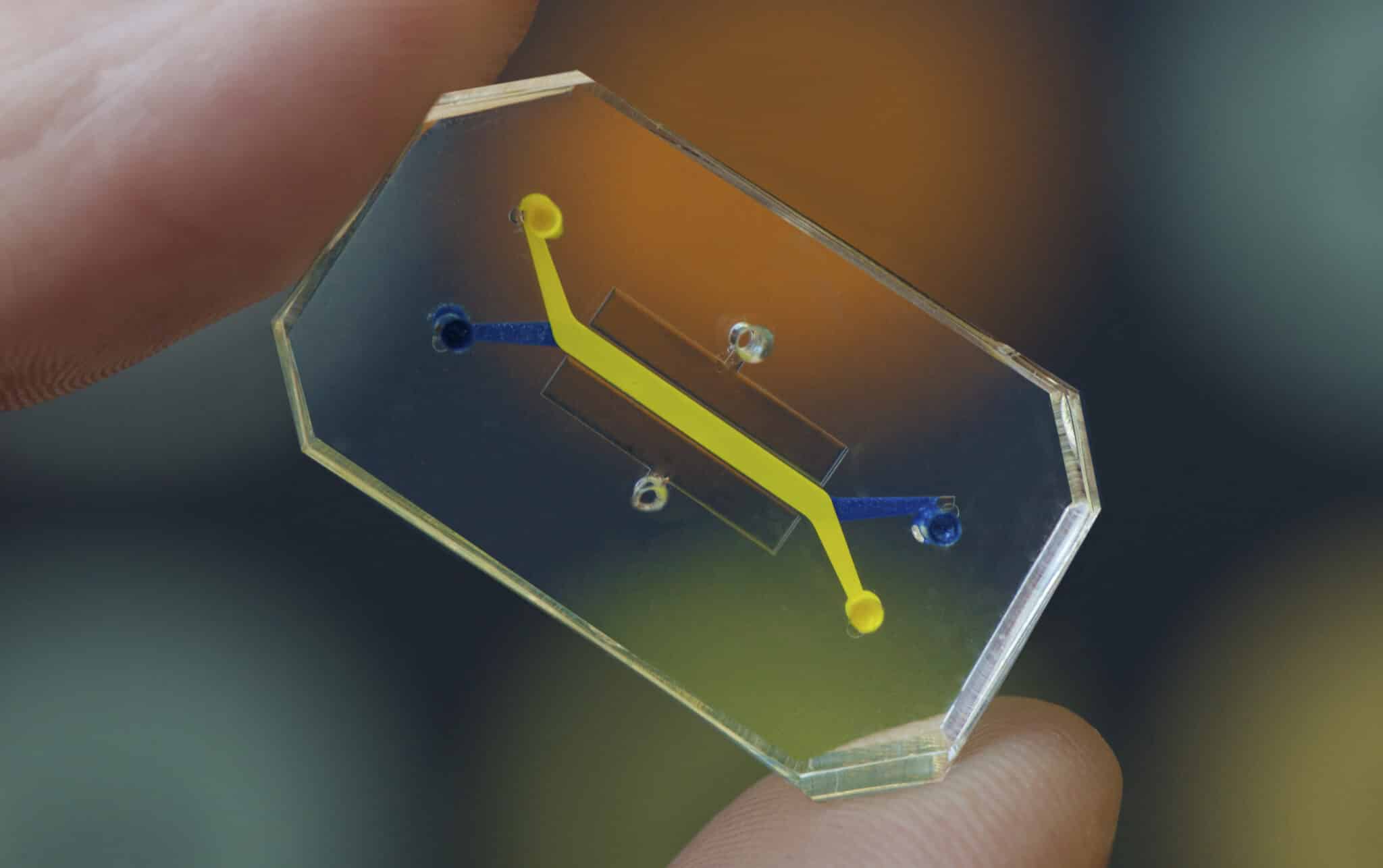 Credits: Wyss Institute at Harvard University