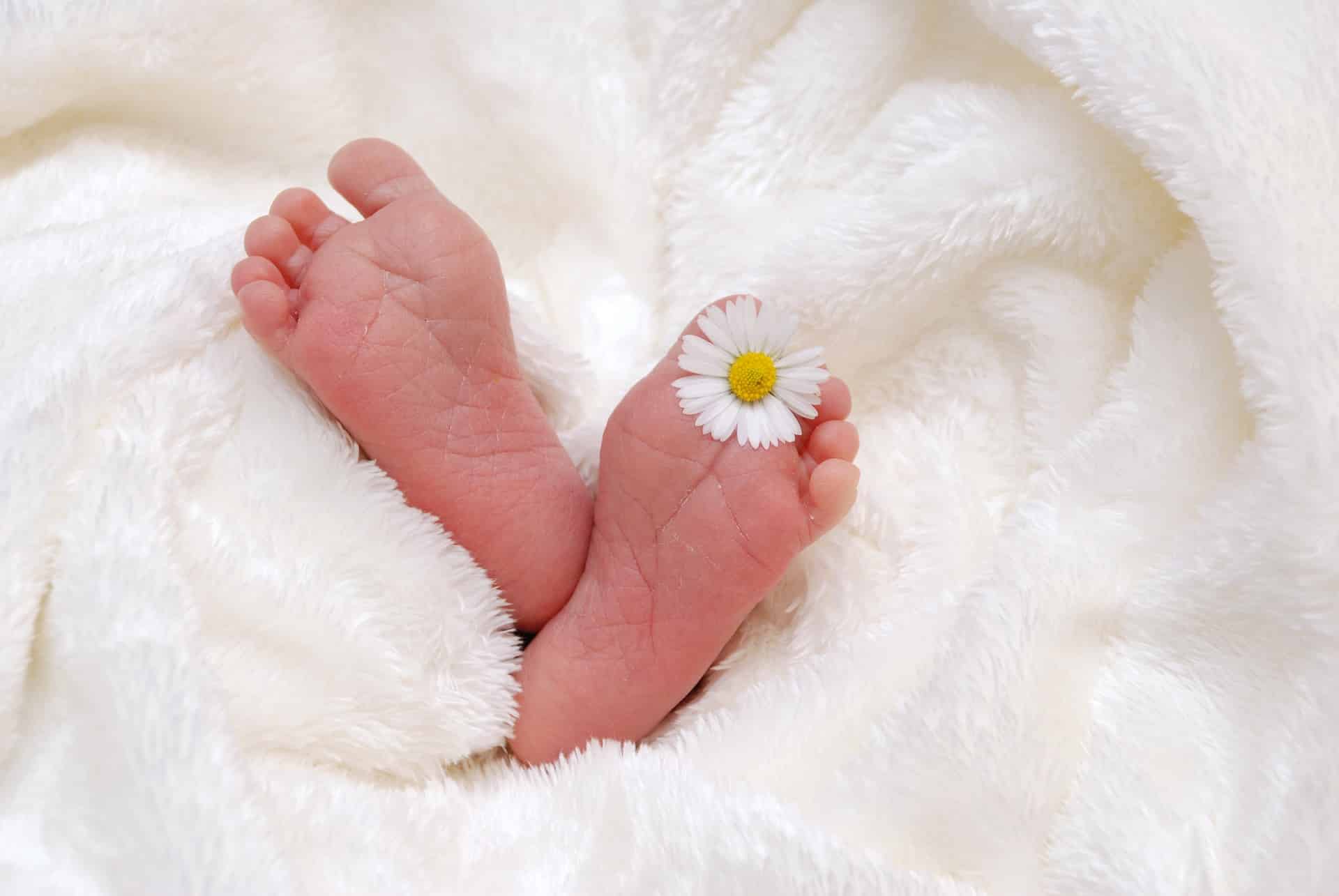 Quoziente familiare: cos'è e cosa prevedono i partiti per le elezioni