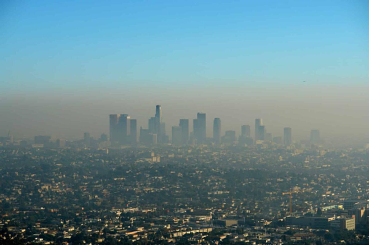 Smog: cos'è, come si forma e conseguenze sull'ambiente - Pixabay