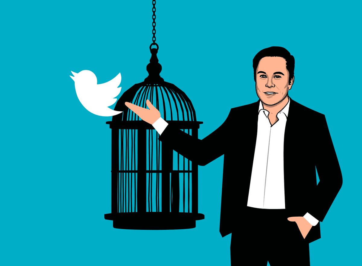 Twitter : i cambiamenti di Elon Musk al popolare social - 