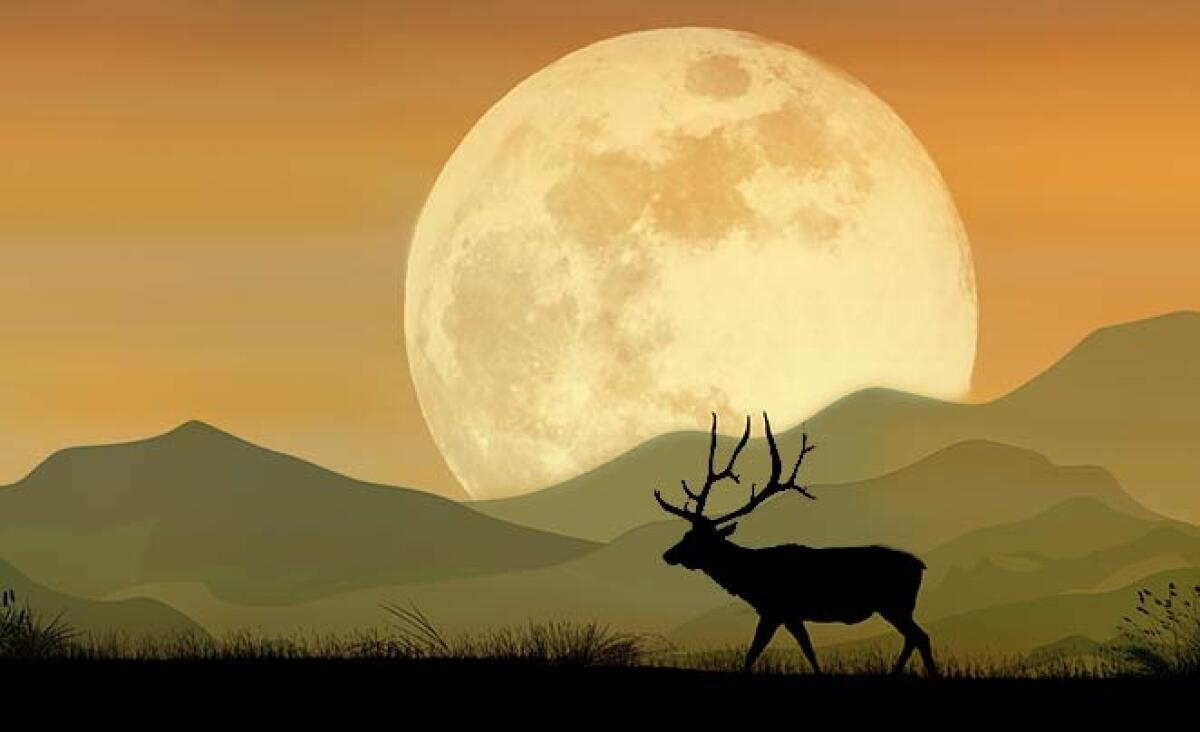 La luna può influenzare la finanza? Attenti al plenilunio di Ottobre! - 