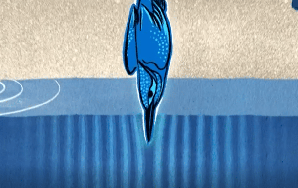 Aerodinamica del becco di un martin pescatore. Credits: BBC