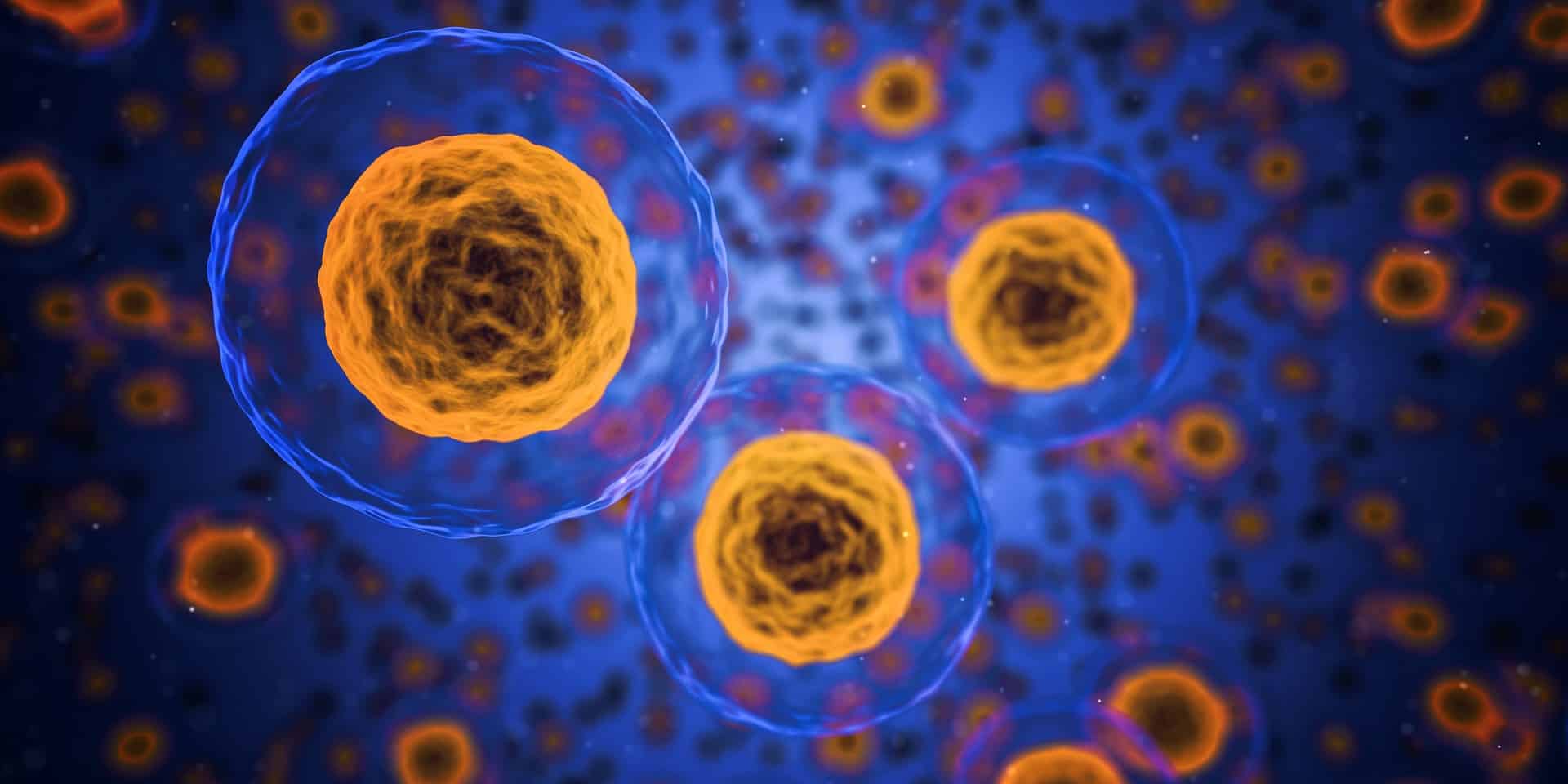 Prodotti per Terapia Cellulare o Tissutale (PTC): cosa sono e come vengono regolamentati