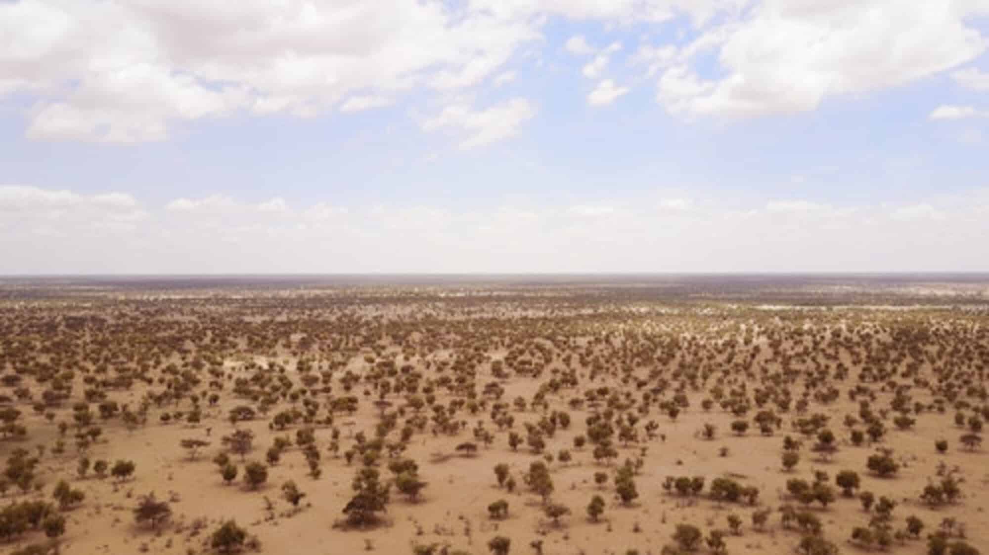 Fonte: Great Green Wall