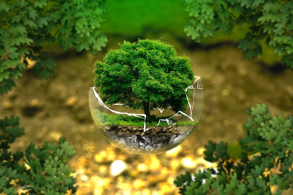 Protezione Ambientale