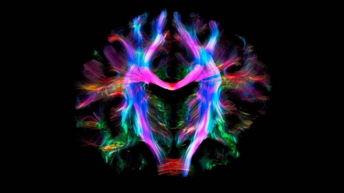 Imaging in medicina: strumento di studio morfologico ora anche funzionale - 