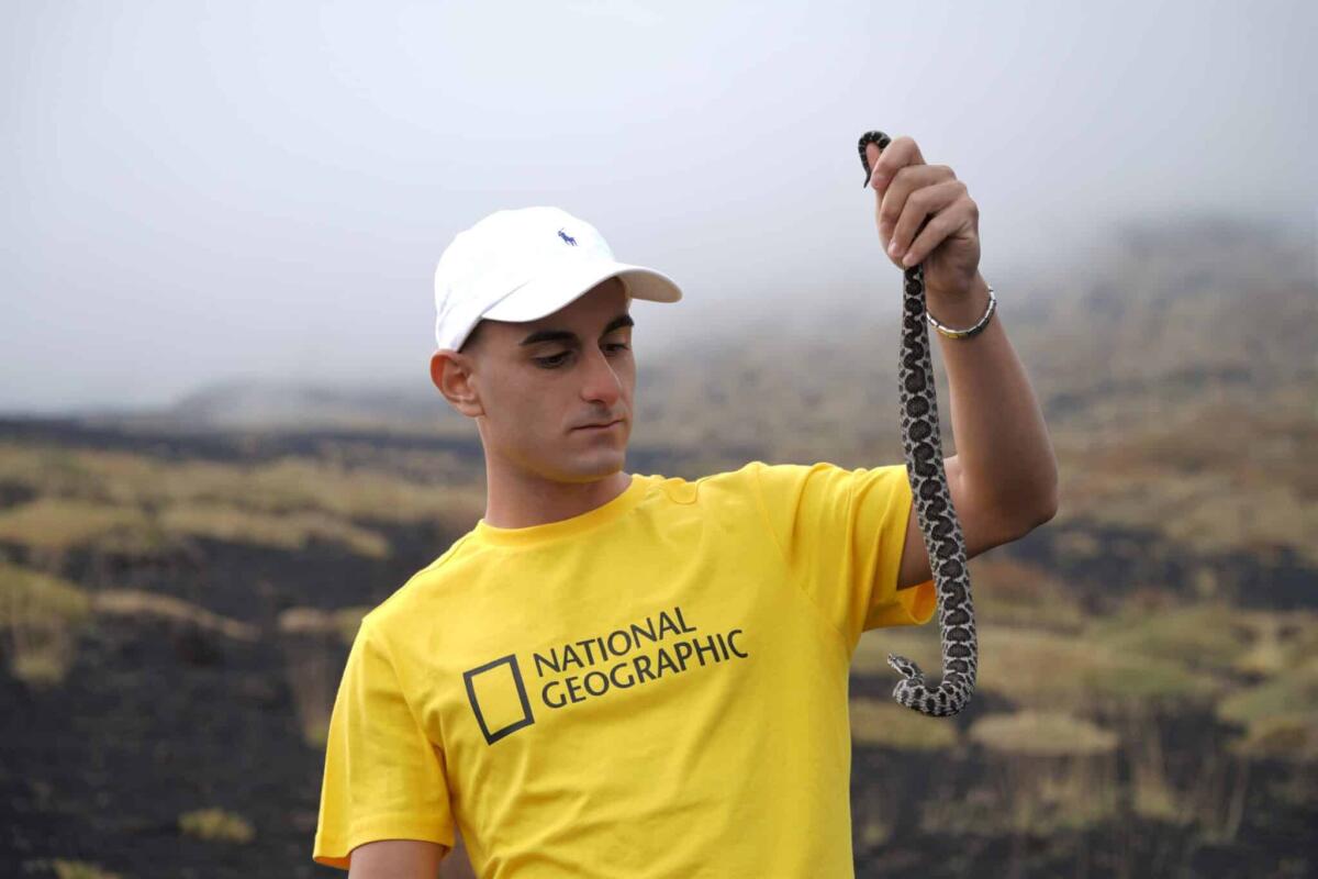 Vipera aspis hugyi: alla scoperta della sottospecie di vipera tutta siciliana - Sebastian Colnaghi con un esemplare di vipera aspis hugyi in Sicilia