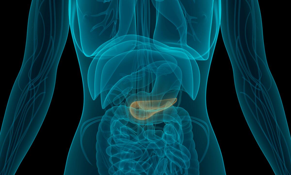 Cancro al pancreas: nuova terapia con impianto radioattivo - Credits: www.cancercenter.com