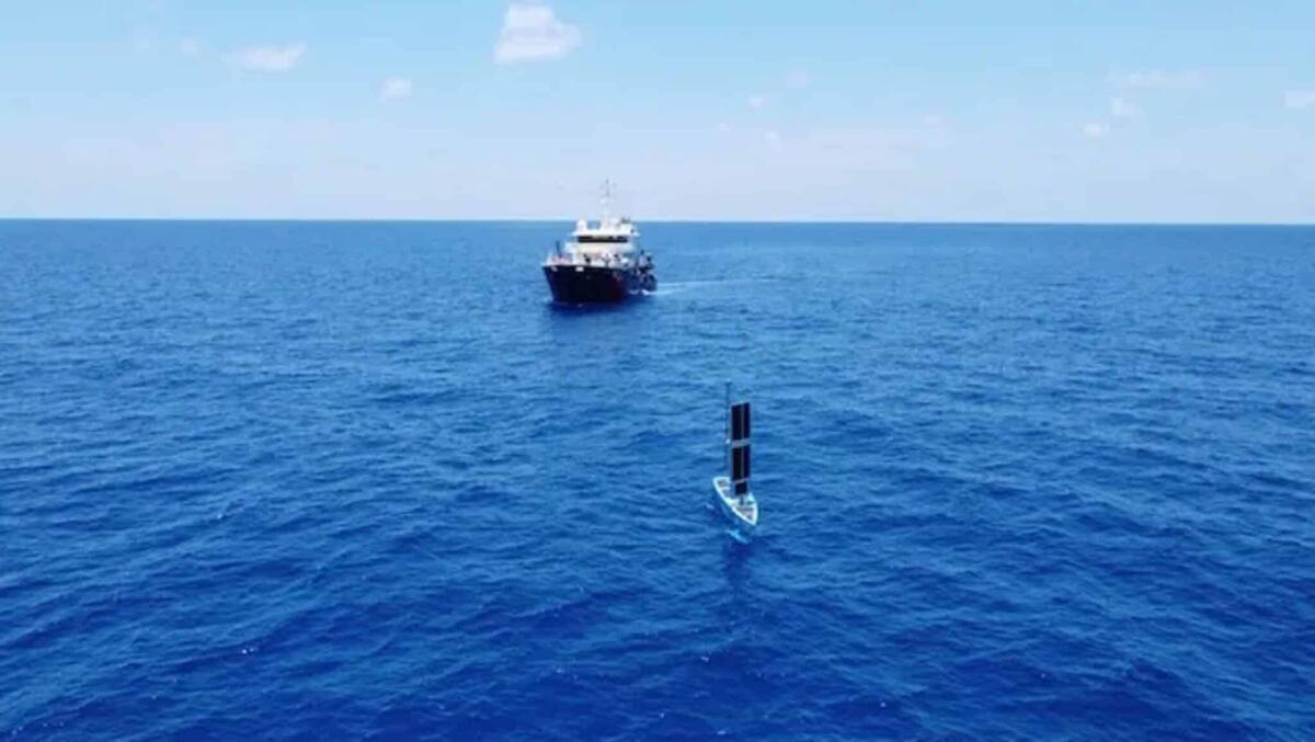 Cinque USV Bluebottle in arrivo per la Marina militare australiana - 