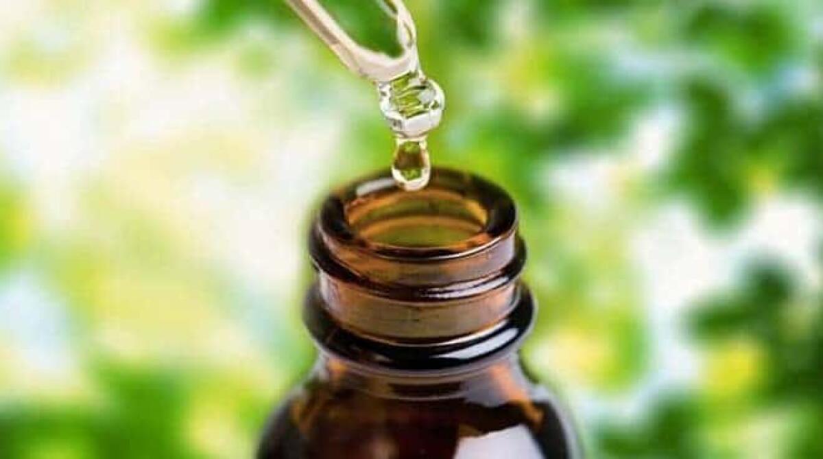 Legalizzazione cannabis: cosa prevede la proposta di legge approdata alla Camera - 