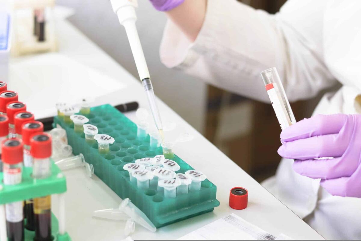 Emoglobina artificiale per contrastare la carenza di sangue per le trasfusioni - 