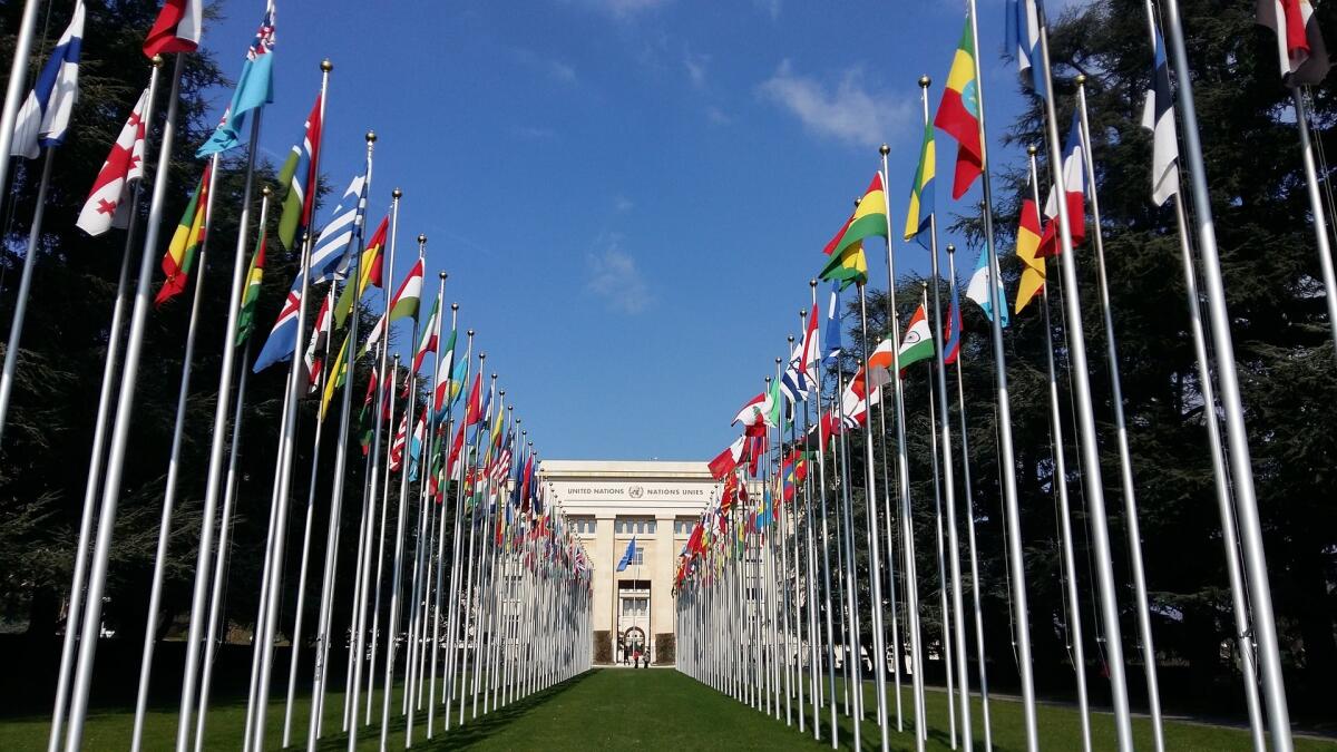I temi del COP27: serve un accordo tra nord e sud del mondo - 