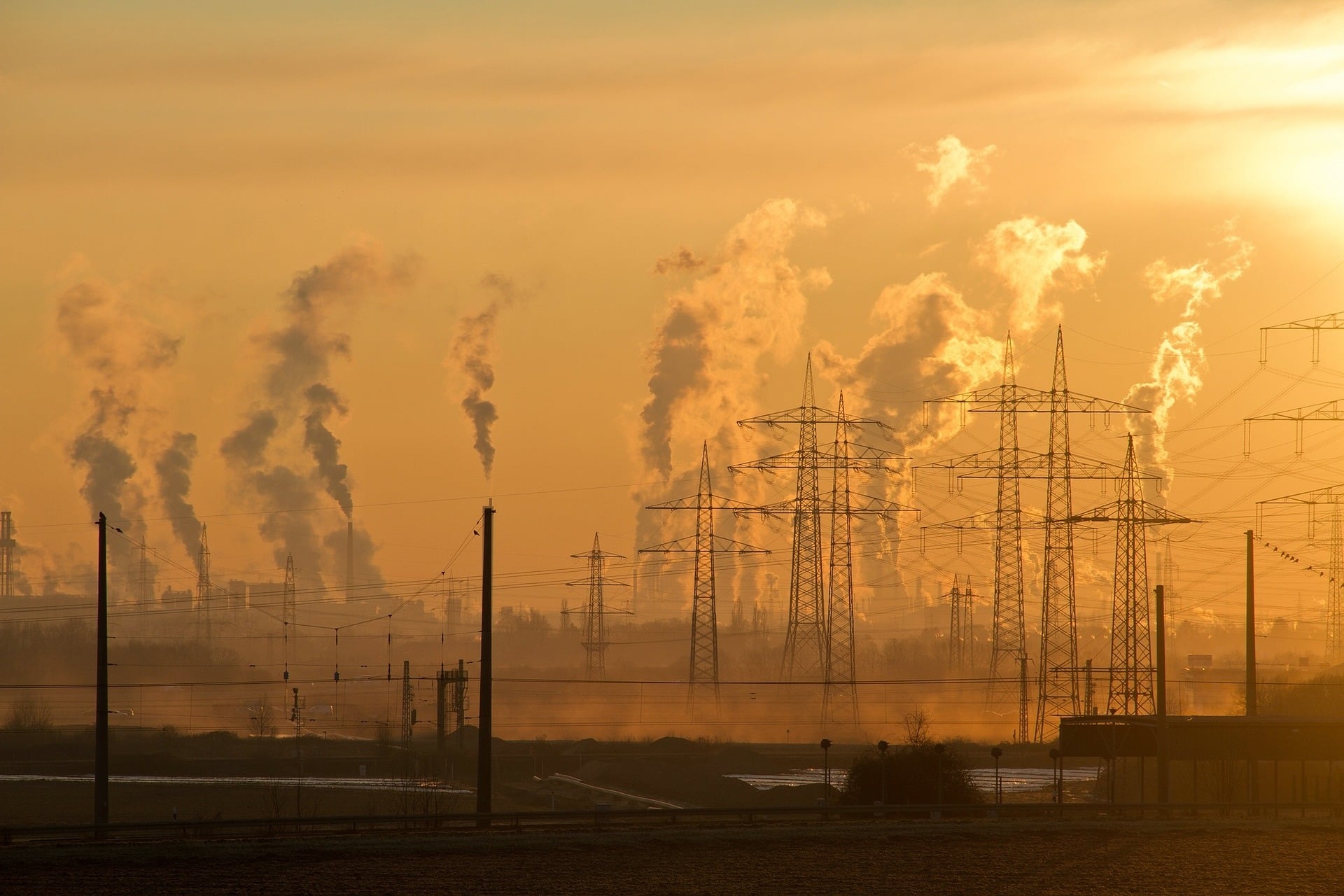Temi del COP27, inquinamento e emissioni