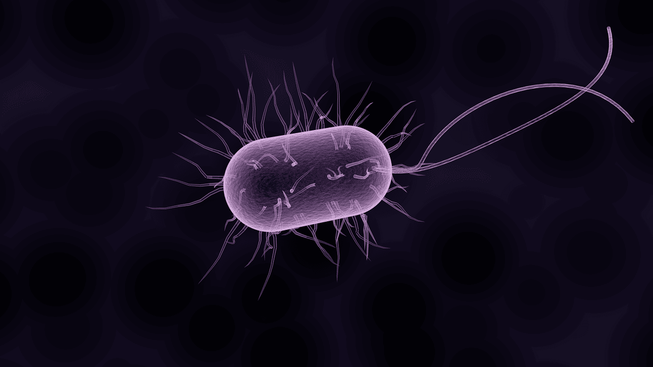 Helicobacter Pylori: nemico del nostro organismo?