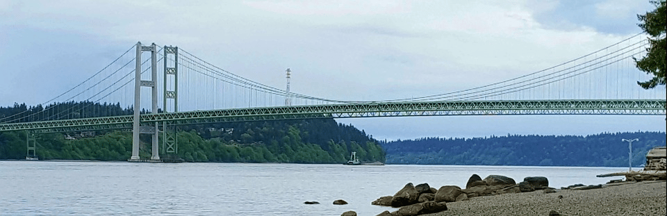 Tacoma Narrow Bridges attuali. Credits: Pixabay