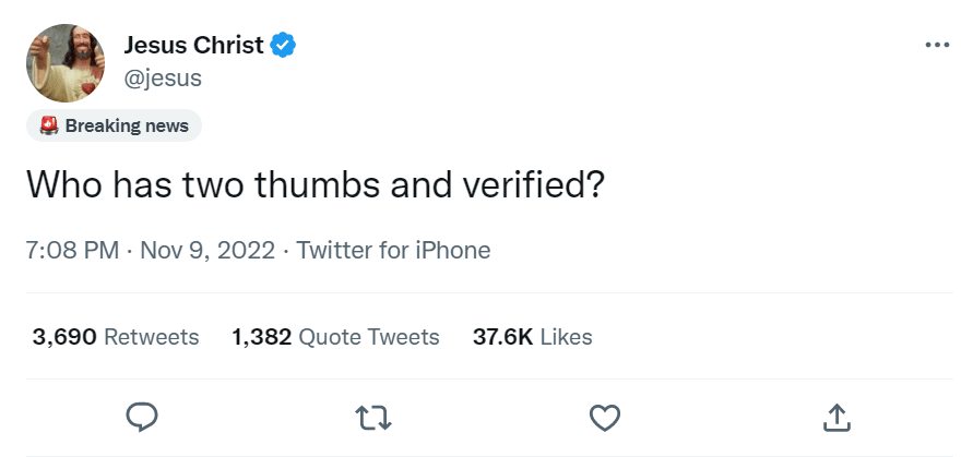 Twitter Musk