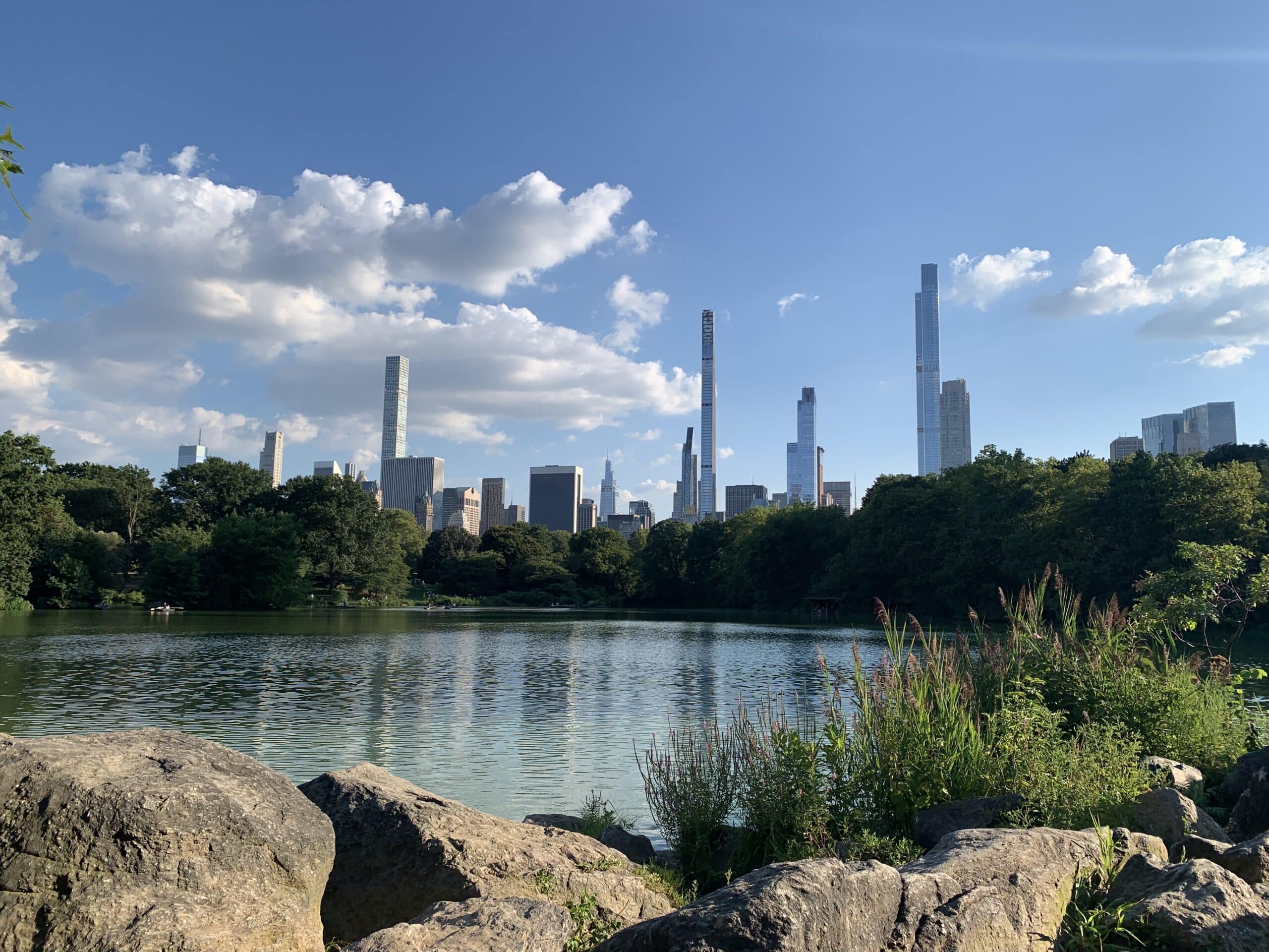 Crediti: Heidi Garcia/Close-Up Engineering; veduta da Central Park