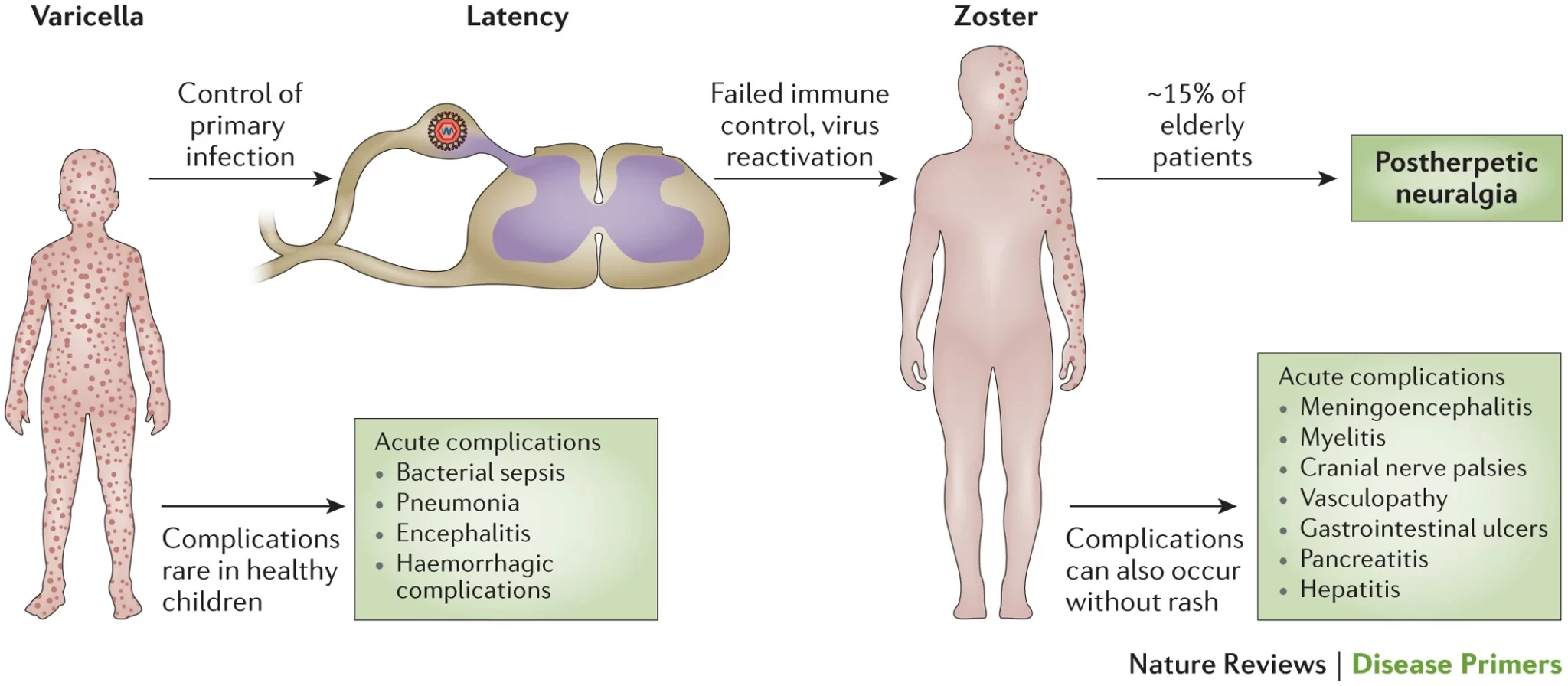 Credits: Nature Reviews