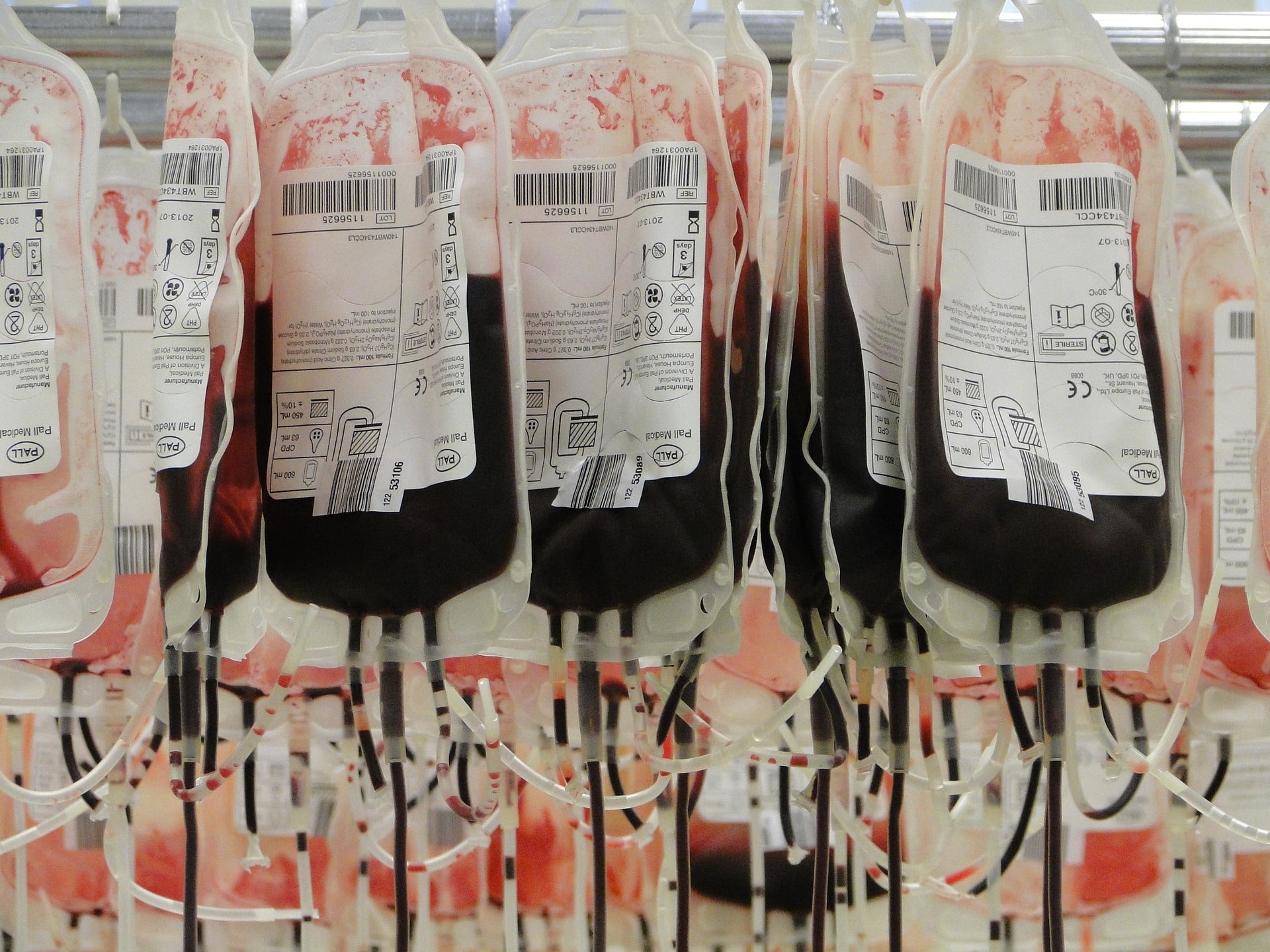 Sacche di sangue Emoglobina artificiale