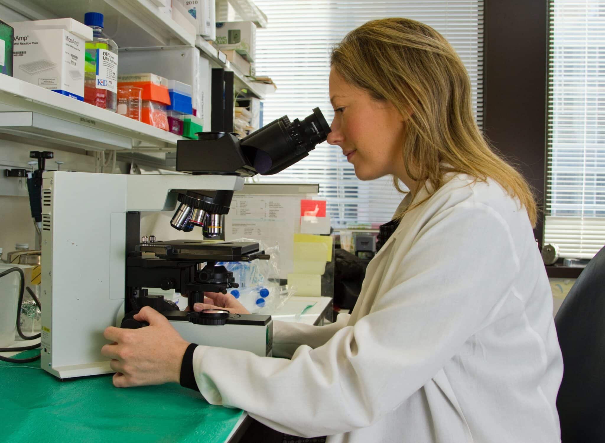 Le analisi effettuate sui campioni presi in esame dimostrano che il nuovo trattamento è promettente per il trattamento del cancro al pancreas - Credits:  National Cancer Institute