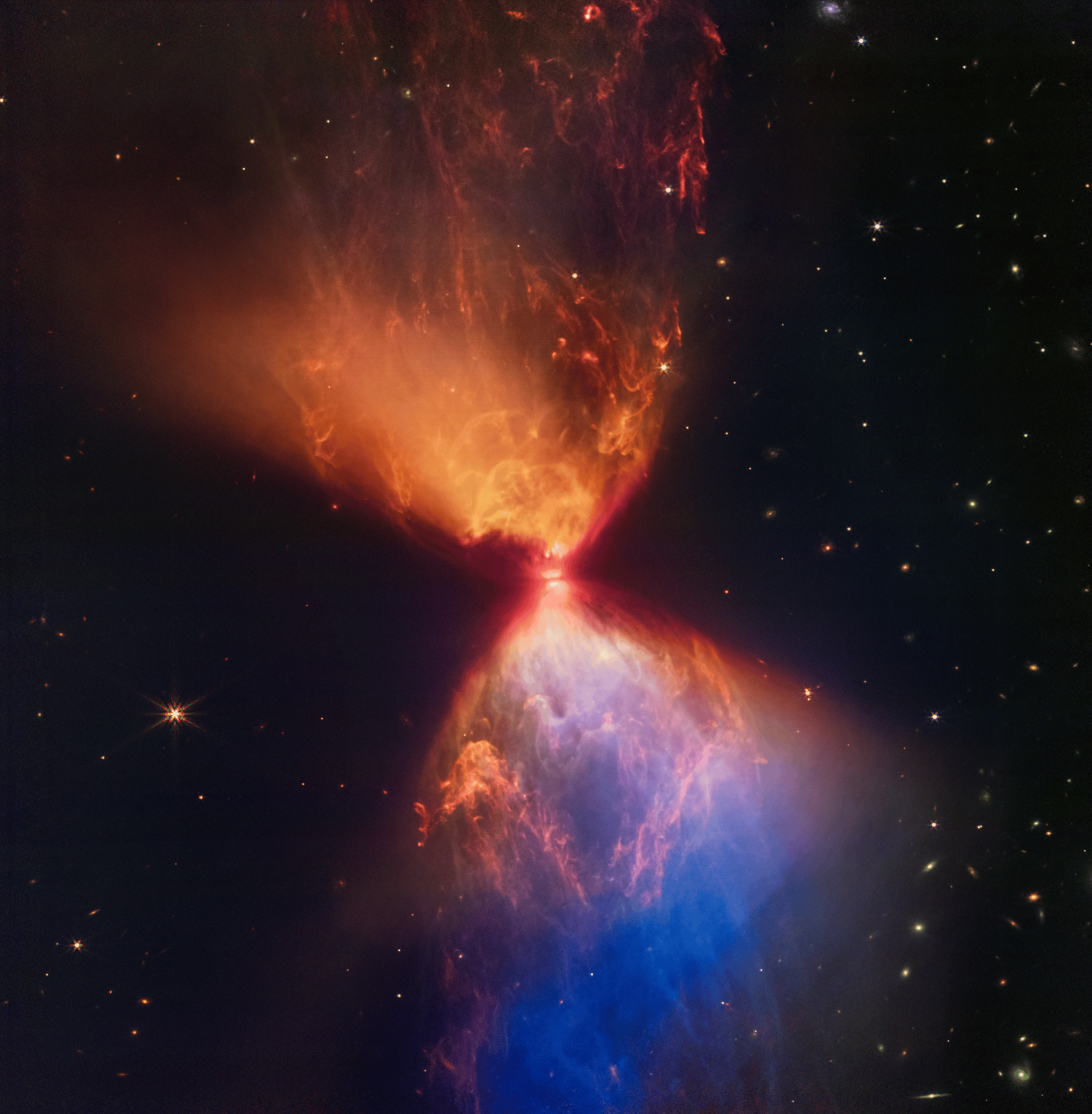 La protostella L1527 nell'immagine della James Webb Space Telescope Near-Infrared Camera (NIRCam) della NASA. Credits: NASA, ESA, CSA e STScI. Elaborazione delle immagini: J. DePasquale, A. Pagan e A. Koekemoer (STScI). Scarica l'immagine ad alta risoluzi