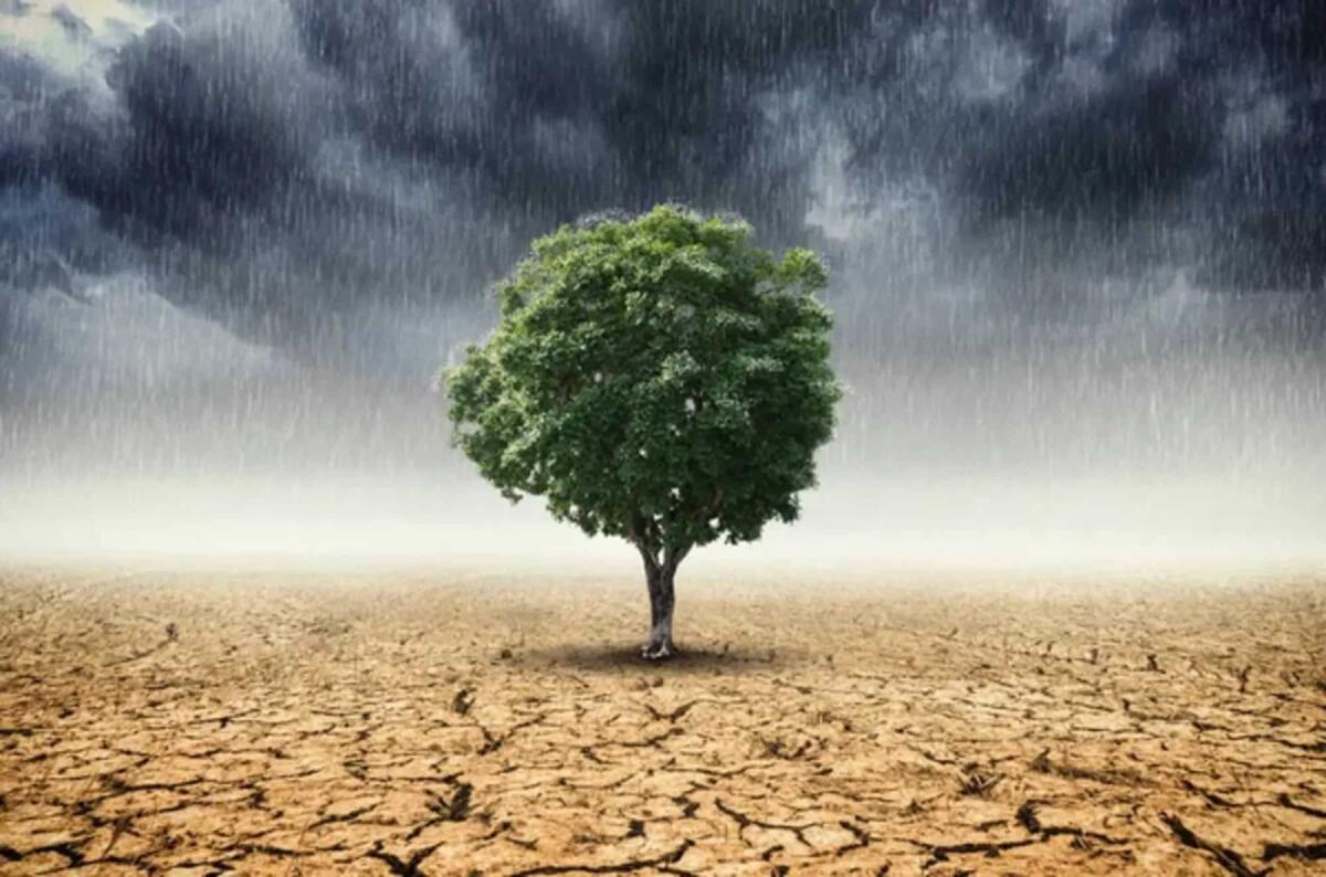 Disastri climatici: quali sono stati i peggiori del 2022 - Depositphotos