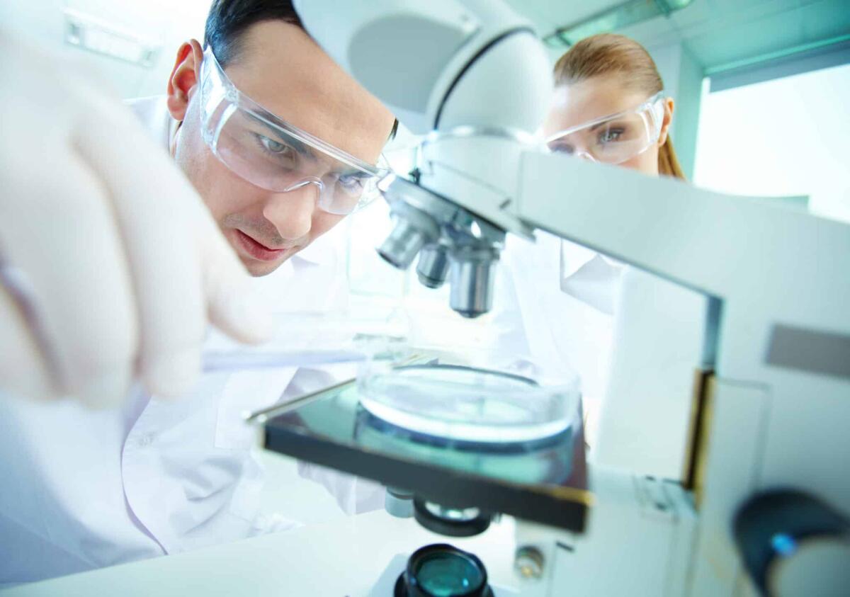 Risultati scientifici del 2022: ecco i più rilevanti - Serious clinician studying chemical element in laboratory with his assistant near by