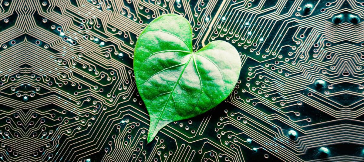 Inquinamento digitale: ciascuno può fare la propria parte, ecco come - inquinamento digitale www.dot-net.it