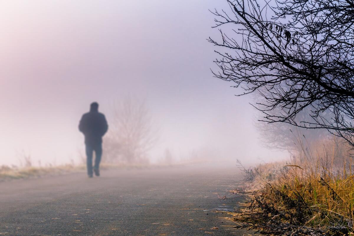 Il cromosoma Y sta sparendo: è la fine del genere maschile? - A person walk into the misty foggy road in a dramatic sunrise scene with abstract colors