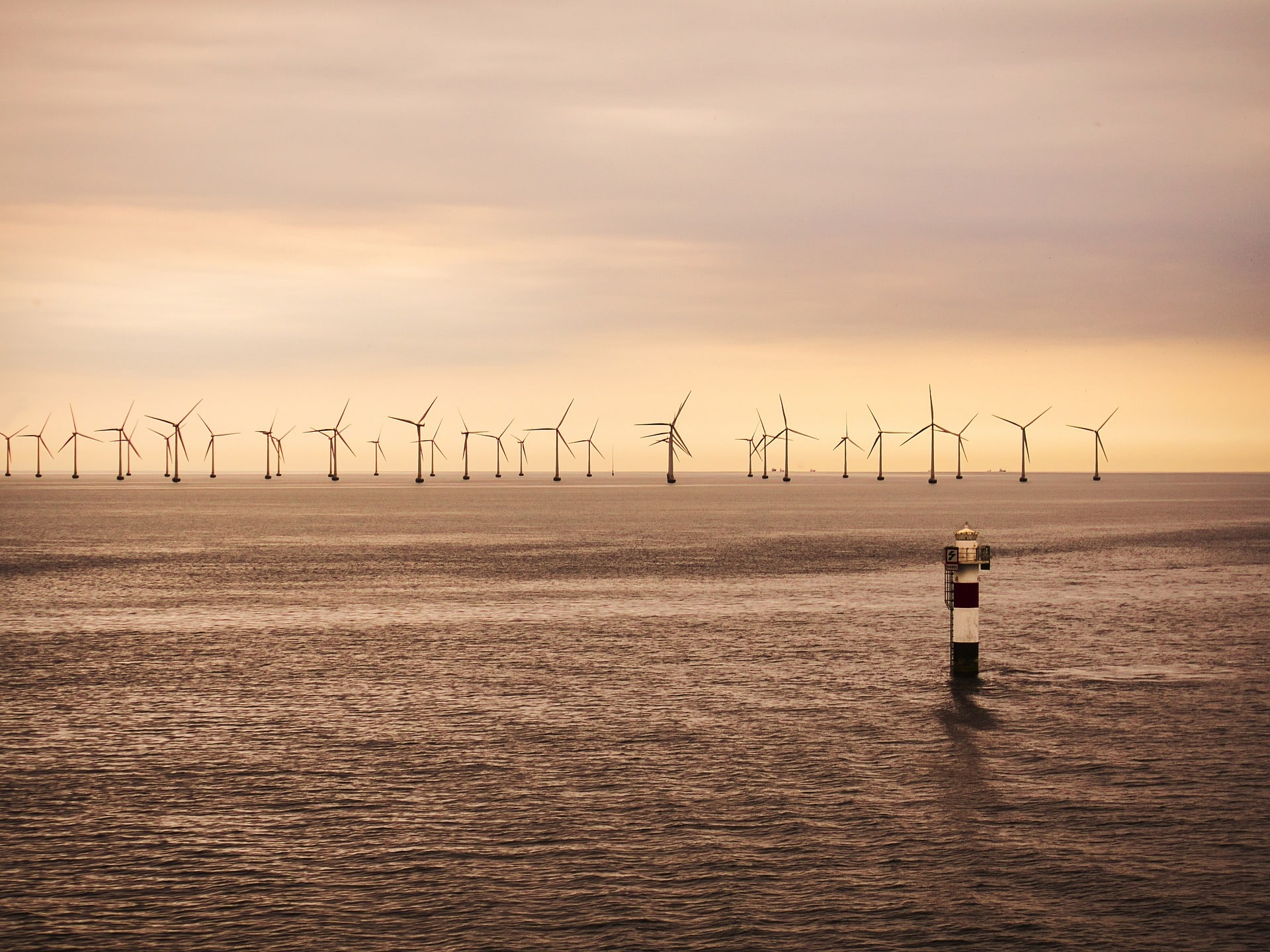 Parco eolico offshore. Queste infrastrutture possono essere riprodotte da un digital twin, in modo da gestire e programmare la manutenzione in modo virtuale da remoto. Credits: Pixabay.