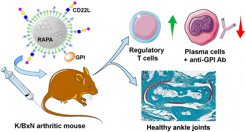 Lo studio in questione sull'artrite schematizzato - Credits: ACS Nano