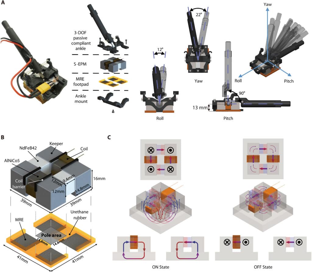Robot quadrupede in grado di scalare le pareti: si chiama MARVEL