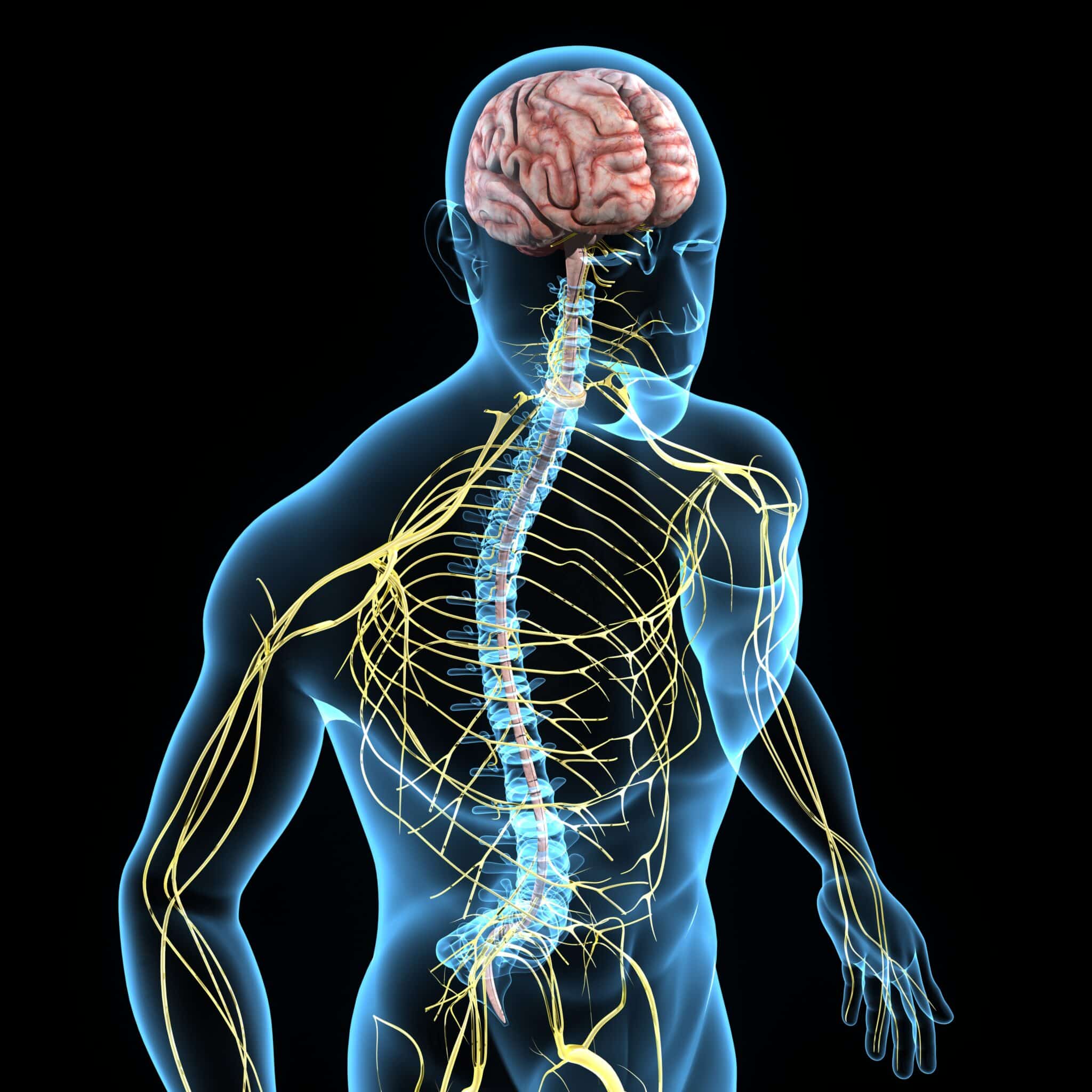 crisi convulsive febbrili nel bambino