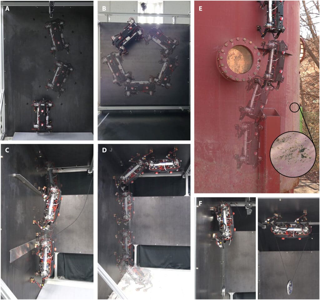 Movimenti del robot MARVEL. Credits: Science.org, Agile and versatile climbing on ferromagnetic surfaces with a quadrupedal robot