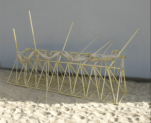 Esempio di “Animaris Vulgaris”. Credits: Flickr
