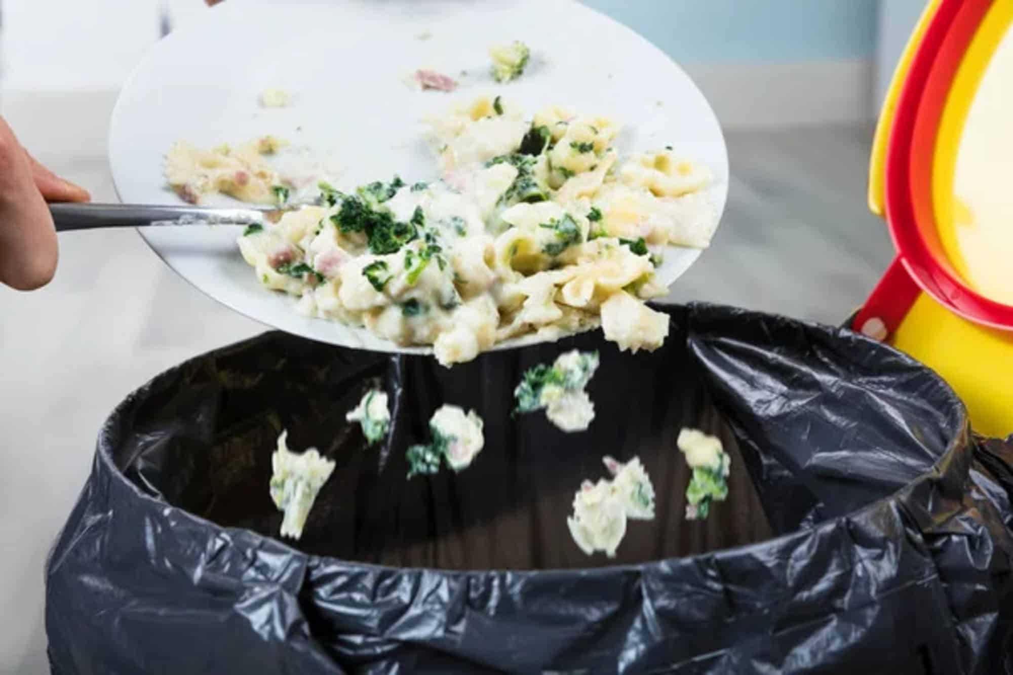 Spreco alimentare: come possiamo evitarlo durante le feste ma non solo